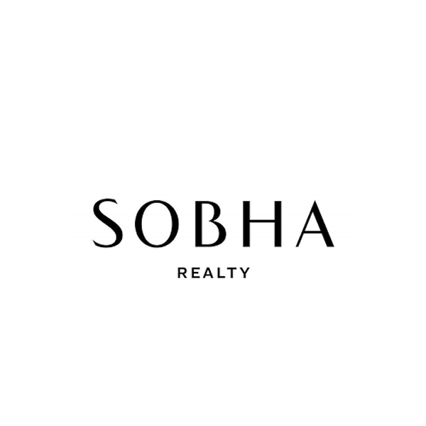 Developer Logo 2